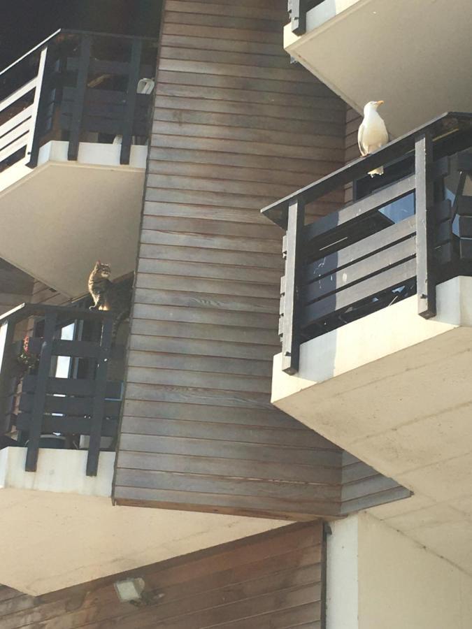 Mon Balcon Face A La Mer - Les Marinas Deauville Buitenkant foto